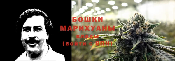 2c-b Белокуриха
